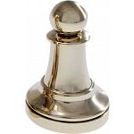 Silver Color Chess Piece - Pawn