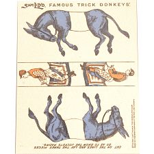 Famous Trick Donkeys - Color - English - Blue