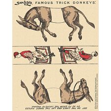 Famous Trick Donkeys - Commemorative Edition - 145 Years