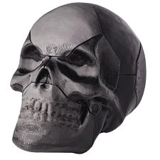 Skull Puzzle